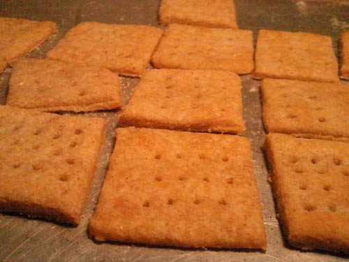 Homemade Soaked Wheat Thins